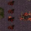 Starcraft Flash Action 5 Special Edition